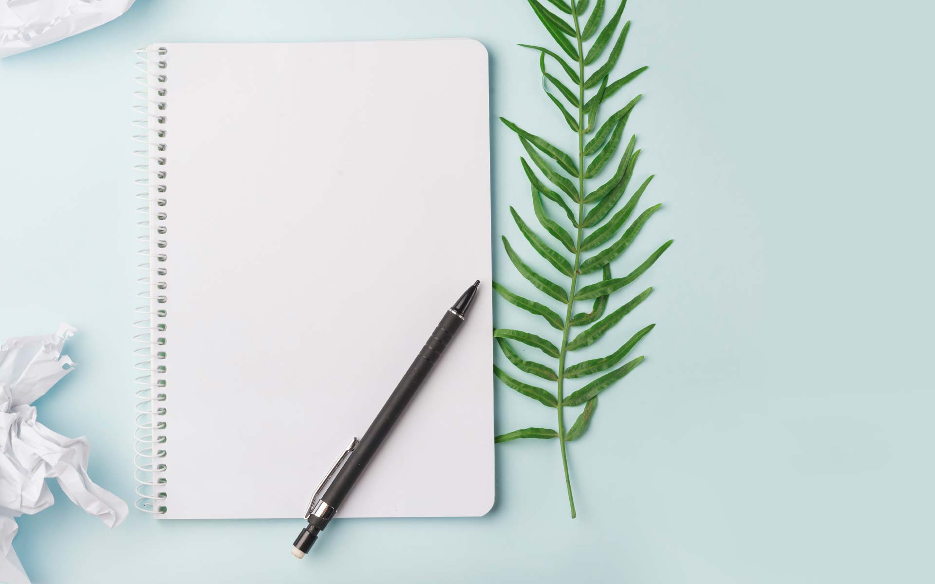 claire-williamson-author-coach-facilitator claire-williamson-author-coach-facilitator